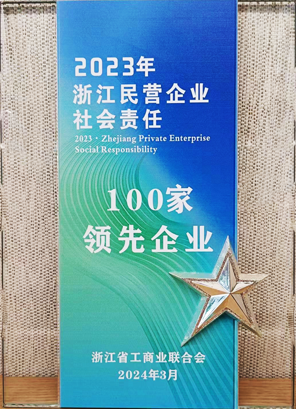 11.浙江民營企業(yè)社會責(zé)任100家領(lǐng)先企業(yè)